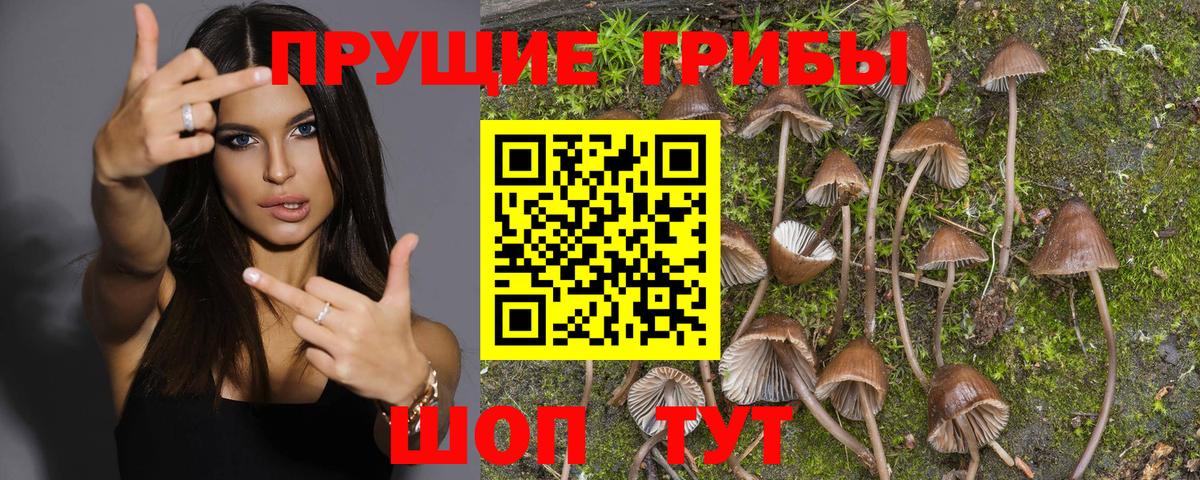 Мончегорск  закладки  Вход с VPN  Галлюциногенные грибы Magic Shrooms 
